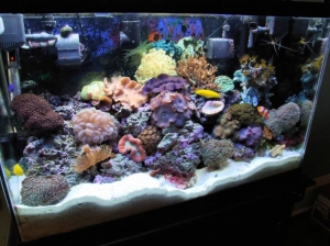 Tank At 5 Months