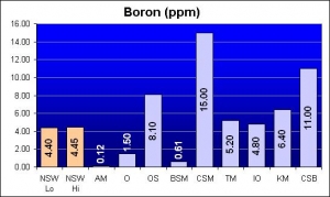 boron