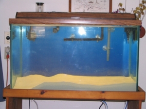 My Aquarium