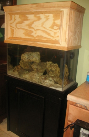 DIY canopy1