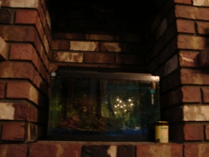 10g freshwater