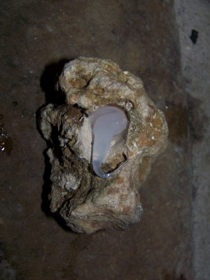 The epoxy in the hole