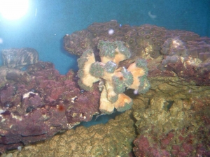 DSCF0056