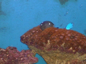 dscf0067