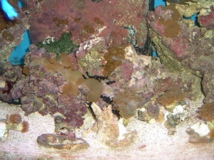 dscf0072