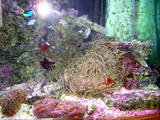 th_DSCN4036