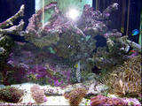th_DSCN4040
