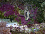 th_DSCN4042
