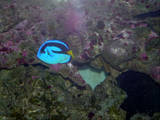 th_DSCN4045