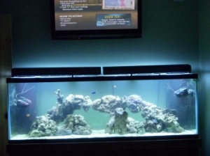 My tank in the works with the LR