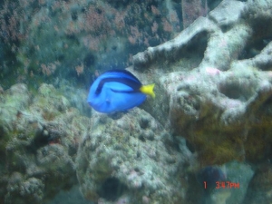 DSC03051