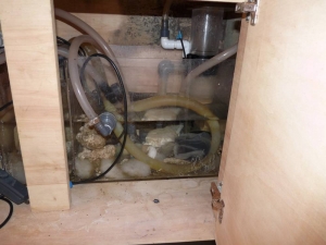 The insides of my aquarium
