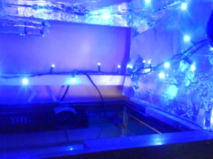 My $6.98 DIY led moonlights