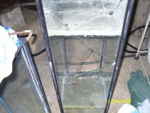 The broken bottom of my 30g sump