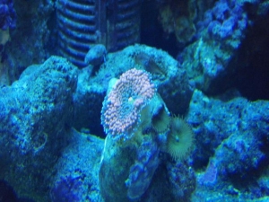 PC060575