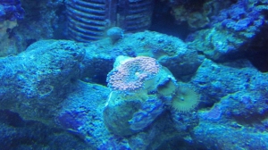 PC060577