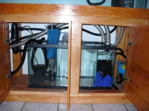 equip photos 1