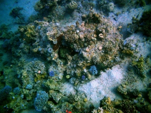 water_140