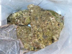 rocks