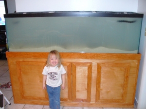 1900 sand and water added