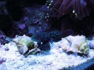 my 30gal bow