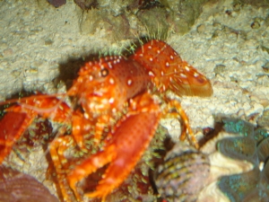 DSC03633