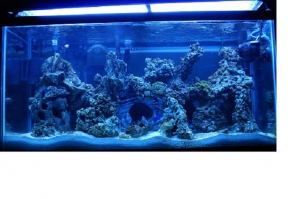 tank20