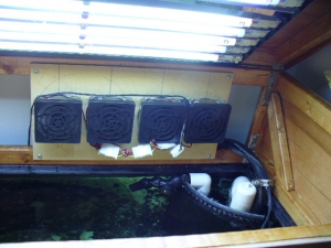canopy fan  out haul