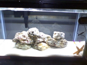 My room 10g nano
