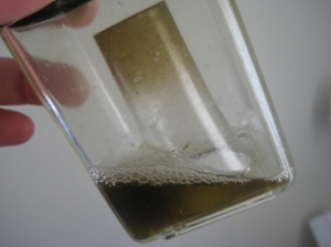 Skimmate after 2 Days