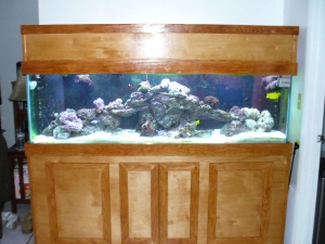 Barks tank