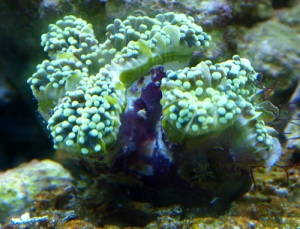 6-5-09_001