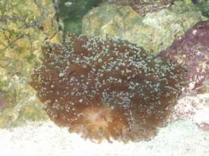 DSCF0858
