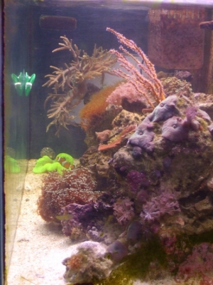 updated pics