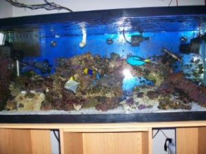 addedpics001