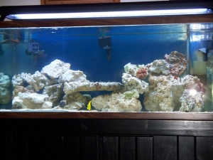 FTS