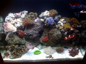 MyTankStage4