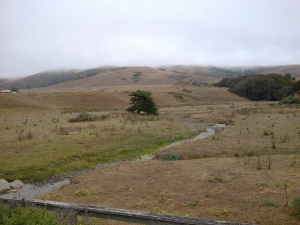 Highway 1 near Jenner, CA
