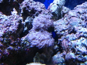 Picture_201