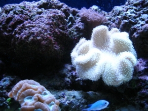 Picture_203