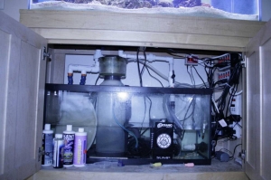 Sump setup