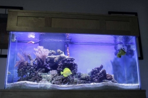 90 gal