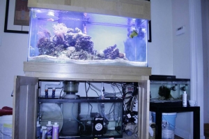 90 gal
