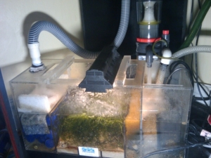 wet/dry (sump)