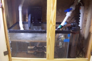 sump_12-01-2009