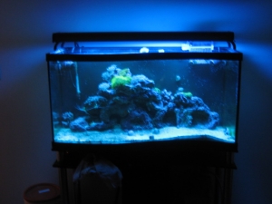 my 90 gallon