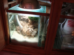 Refugium