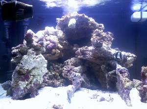 Biocube_front