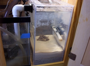 Refugium2
