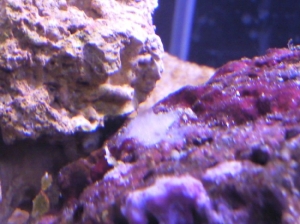 Photo0056